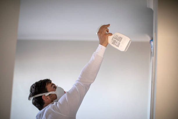 Best Mold Damage Repair  in Kulpmont, PA
